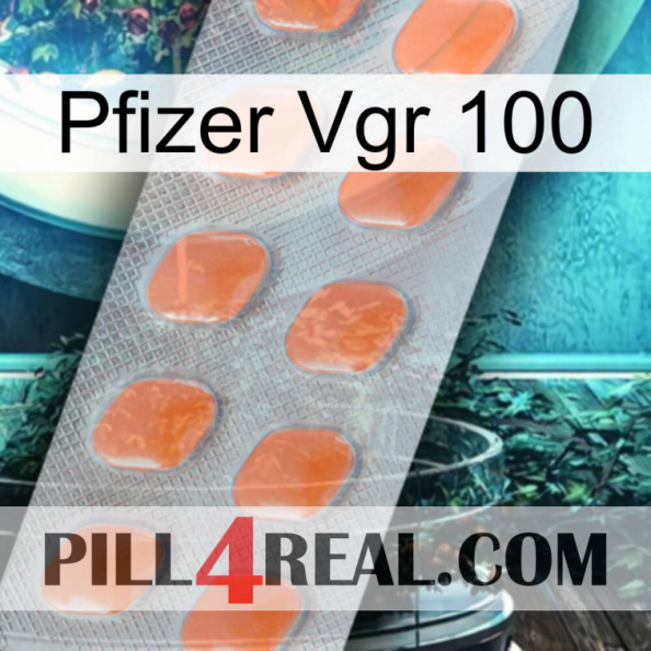 Pfizer Vgr 100 26.jpg